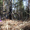 20120420_164354_wall_s.jpg