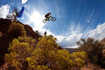 ALEX_PROCHAZKA,_RED_BULL_RAMPAGE_2010_FINAL.jpg