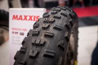 s1200_Maxxis_Minion_FBF_1.jpg