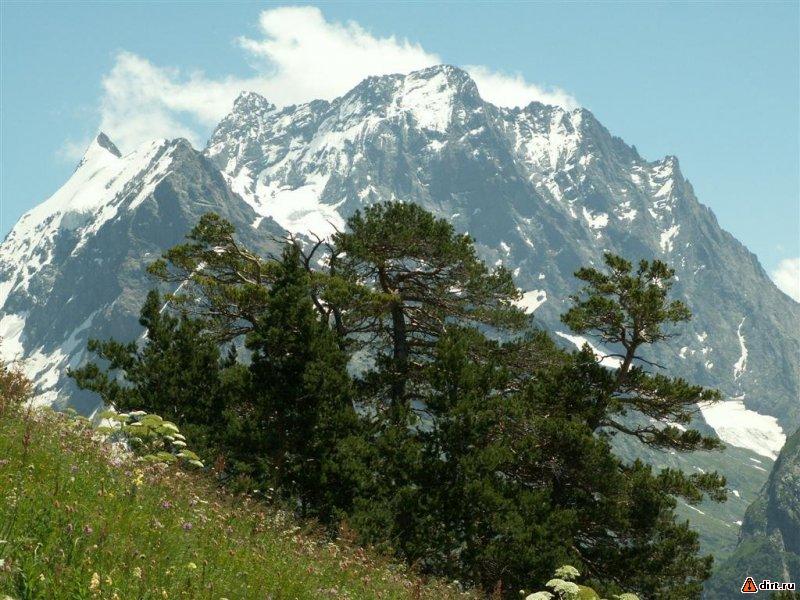 �������, ����� ���������� � ������ ������