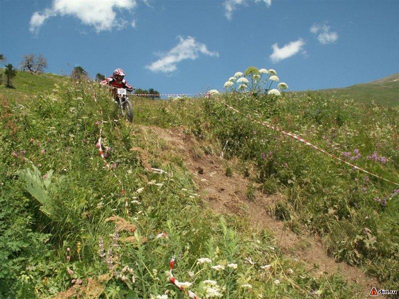 �������, ����� ���������� � ������ ������