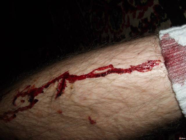 �������, ����� ���������� � ������ ������