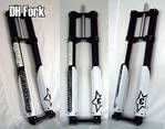 _Conspiracy-DH-forks_40-50_mm_!!!.jpg