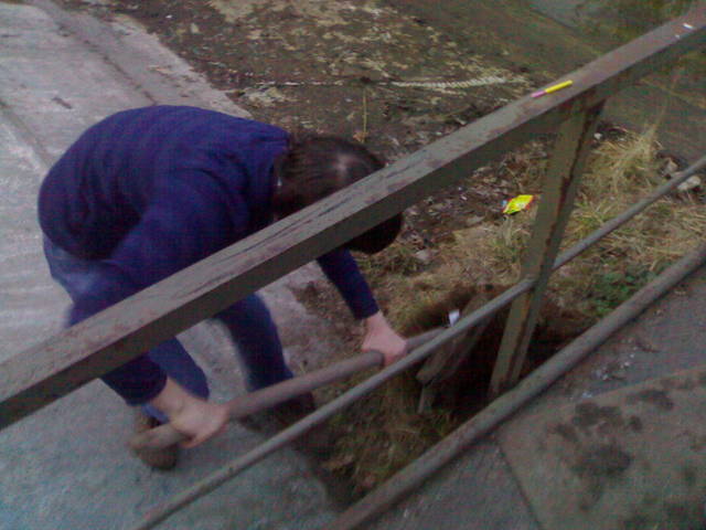 �������, ����� ���������� � ������ ������