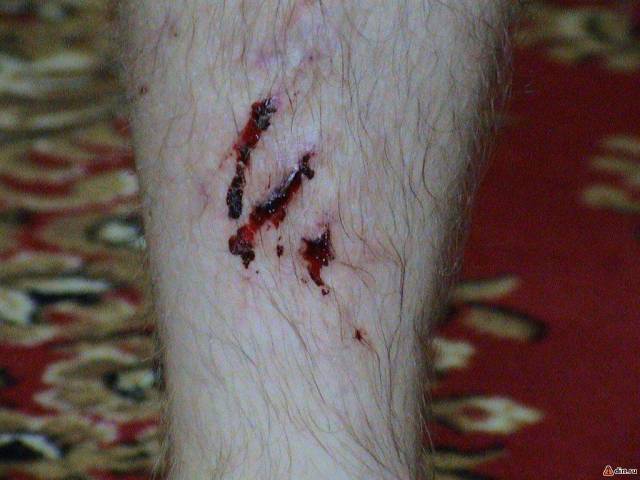 �������, ����� ���������� � ������ ������