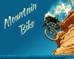 MTB-wall-2010_copy.jpg