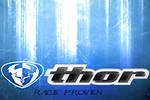 THOR3_logo_wall_copy.jpg