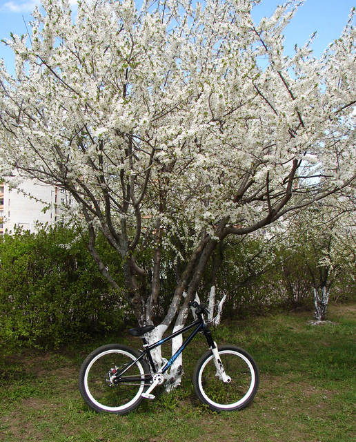 �������, ����� ���������� � ������ ������