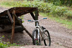 bike-5small.jpg