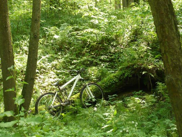 �������, ����� ���������� � ������ ������