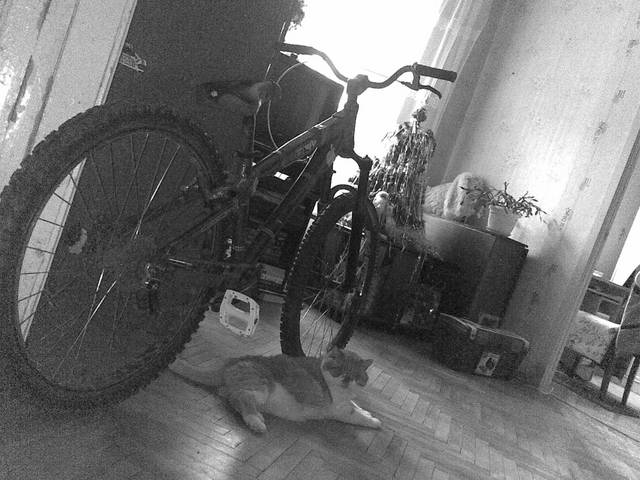 �������, ����� ���������� � ������ ������