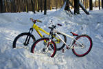 our-bikes-1.jpg