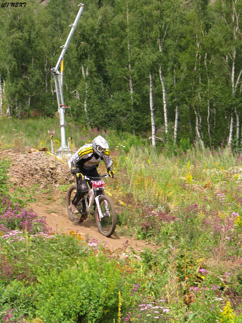 �������, ����� ���������� � ������ ������