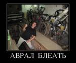 581361_avral-bleat_demotivators_ru.jpg