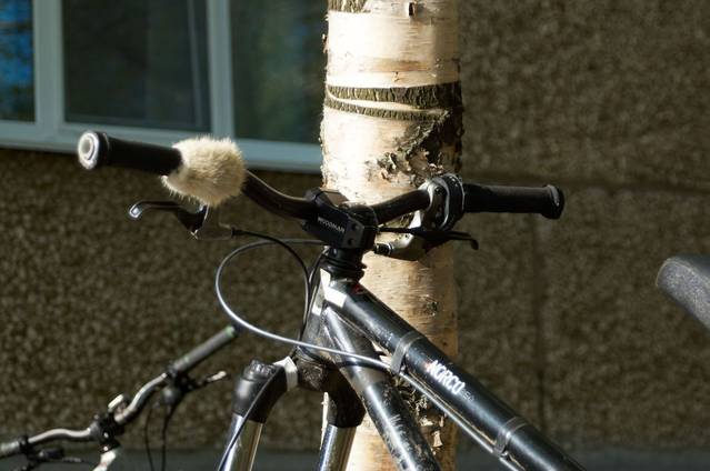 �������, ����� ���������� � ������ ������