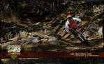 1680x1050px_wallpaper_mtb-freeride_marcus_klausmann_latsch_italy_2008_3.jpg