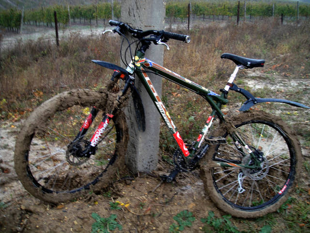 �������, ����� ���������� � ������ ������