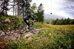 runeta_downhill_26-08-37.jpg