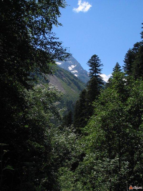 �������, ����� ���������� � ������ ������